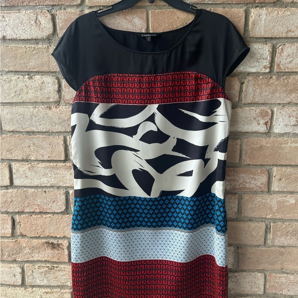 Express Dress - Picture 5 of 6